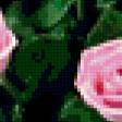 Preview of cross stitch pattern: #316401
