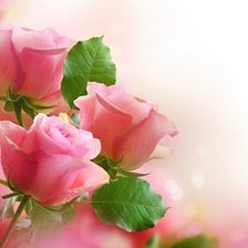 Cross stitch pattern: #316405