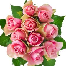 Cross stitch pattern: #316413