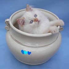 Cross stitch pattern: #316855