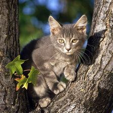 Cross stitch pattern: #316857