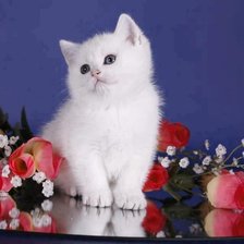 Cross stitch pattern: #316863