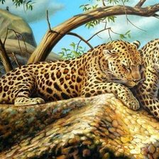 Cross stitch pattern: #316997