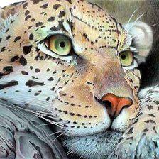 Cross stitch pattern: #317001