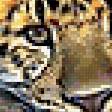 Preview of cross stitch pattern: #317009