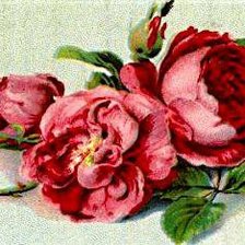 Cross stitch pattern: #317395