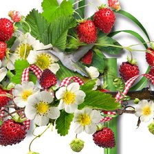 Cross stitch pattern: #317574