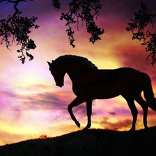 Cross stitch pattern: #317672