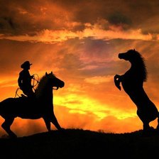 Cross stitch pattern: #317680