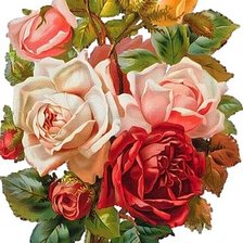 Cross stitch pattern: #317921