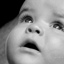 Cross stitch pattern: #317992