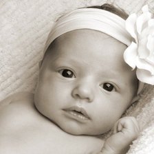 Cross stitch pattern: #317997