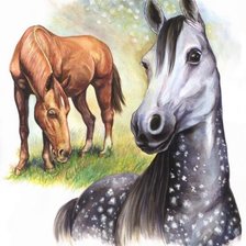 Cross stitch pattern: #318707