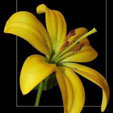 Cross stitch pattern: #318788