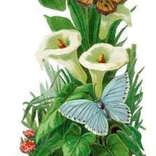 Cross stitch pattern: #319172