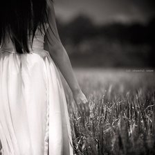 Cross stitch pattern: #319696