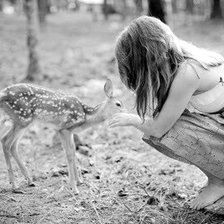 Cross stitch pattern: #319717