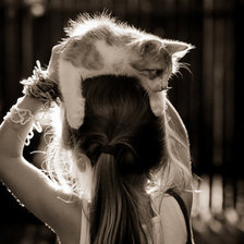 Cross stitch pattern: #319757