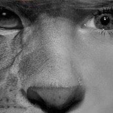 Cross stitch pattern: #319768