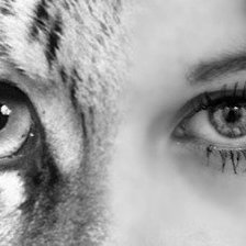 Cross stitch pattern: #319770