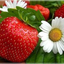 Cross stitch pattern: #320655
