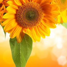 Cross stitch pattern: #320956