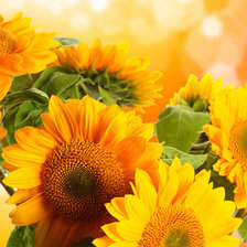 Cross stitch pattern: #320958