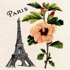 Cross stitch pattern: #321024