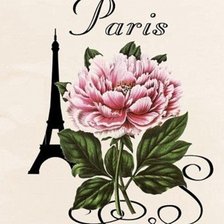 Cross stitch pattern: #321025