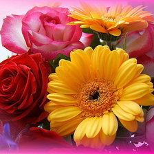 Cross stitch pattern: #321058