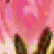 Preview of cross stitch pattern: #321812