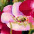 Preview of cross stitch pattern: #321827