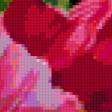 Preview of cross stitch pattern: #321883