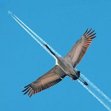 Cross stitch pattern: #322012