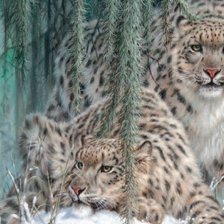 Cross stitch pattern: #322042