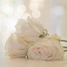 Cross stitch pattern: #322162