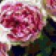 Preview of cross stitch pattern: #322205