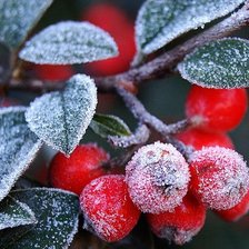 Cross stitch pattern: #322220