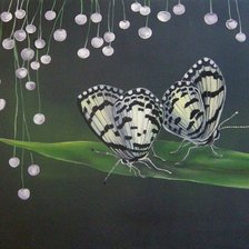 Cross stitch pattern: #322228