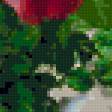 Preview of cross stitch pattern: #322831