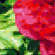 Preview of cross stitch pattern: #322833