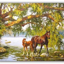 Cross stitch pattern: #323083