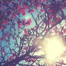 Cross stitch pattern: #323395