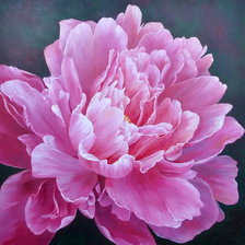 Cross stitch pattern: #323639