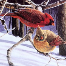 Cross stitch pattern: #323859