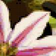 Preview of cross stitch pattern: #324355