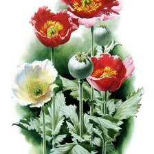 Cross stitch pattern: #324565