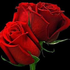 Cross stitch pattern: #324582