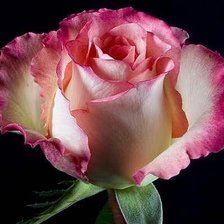 Cross stitch pattern: #324585