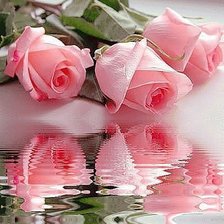 Cross stitch pattern: #324589
